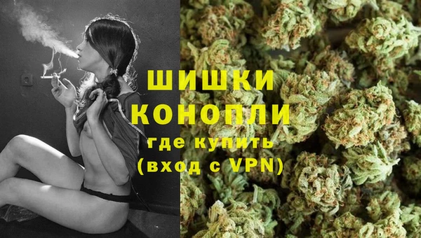 амф Верея
