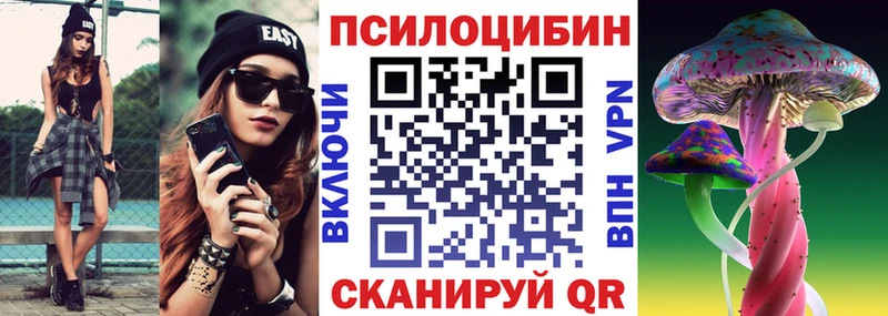 Купить где  Козельск  Галлюциногенные грибы мухоморы 
